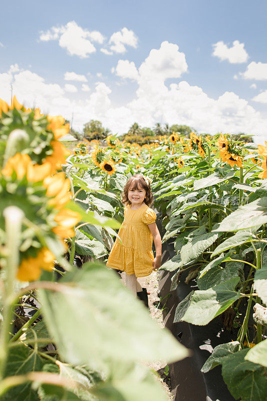 一个4岁的古巴裔美国女孩，棕色的卷发和棕色的眼睛，穿着黄色的裙子和深绿色的雨靴，在南佛罗里达的阳光下，蓝色的天空和蓬松的白云的正午，一片充满活力的黄色向日葵