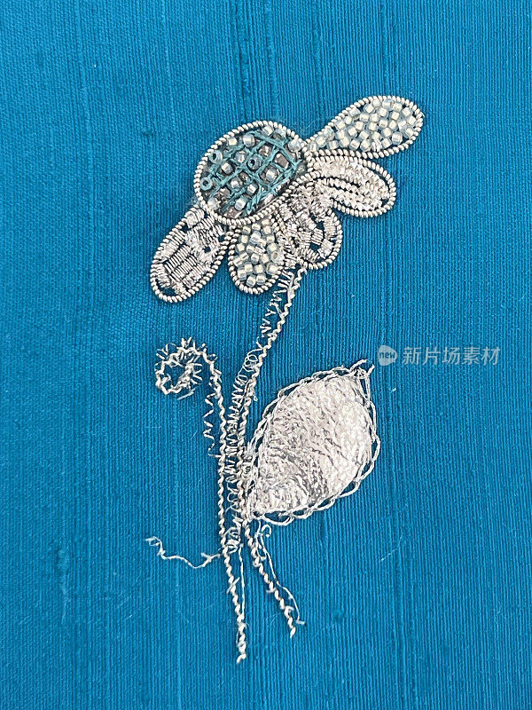 银色菊花