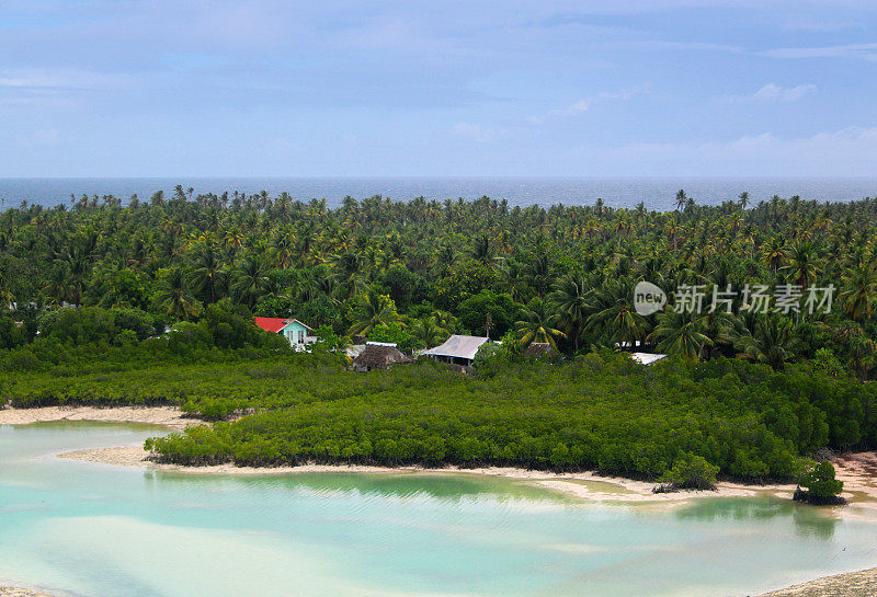 保护海岸的红树林，南塔拉瓦邦里基，基里巴斯