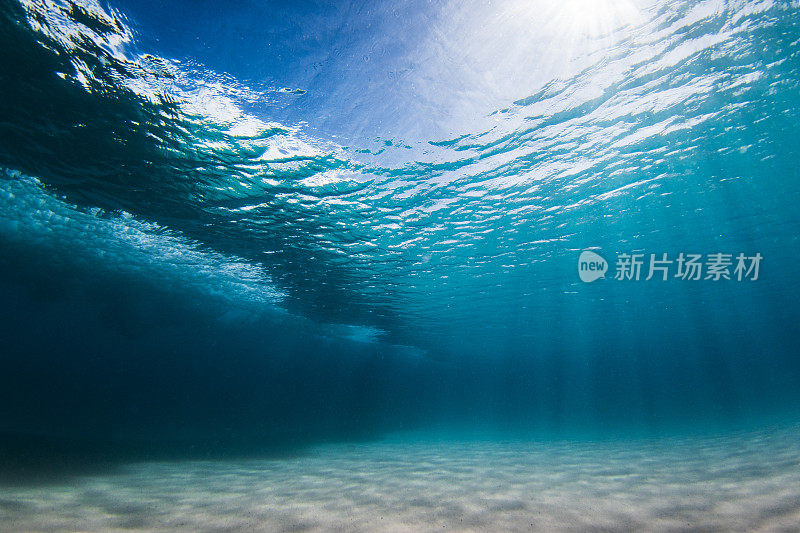 在清澈的海水中，海浪拍打着沙滩，水下的景色一览无余