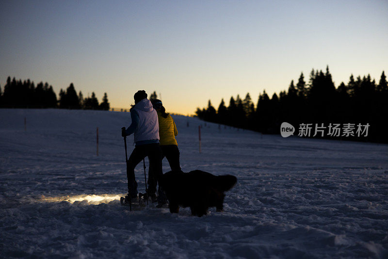 两个女人和伯尔尼山的宠物狗在夜间滑雪