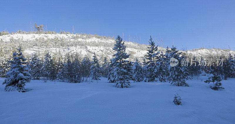 白雪覆盖着森林和小山