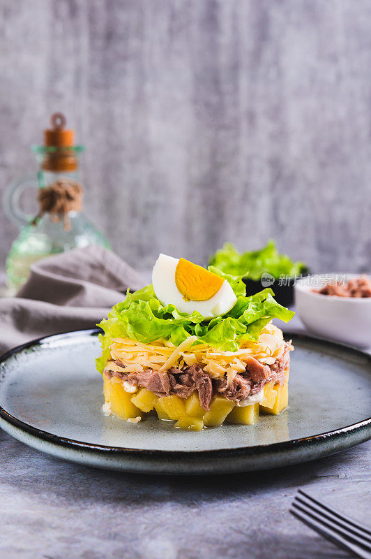 开胃沙拉罐头金枪鱼，土豆，奶酪，生菜和鸡蛋在一个盘子垂直视图