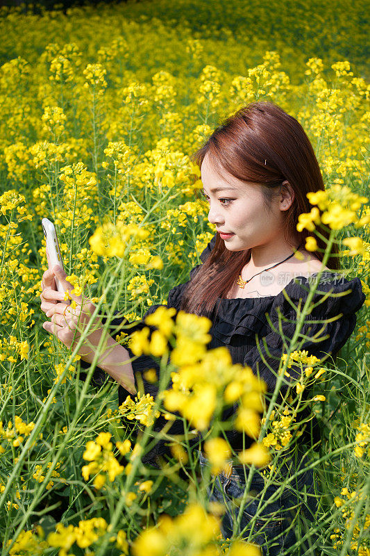 油菜花中的女游客