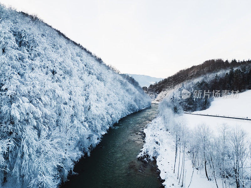 一条河流穿过冰封的冬季森林，浑身被雪染成了白色