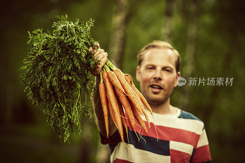 种植胡萝卜的男人