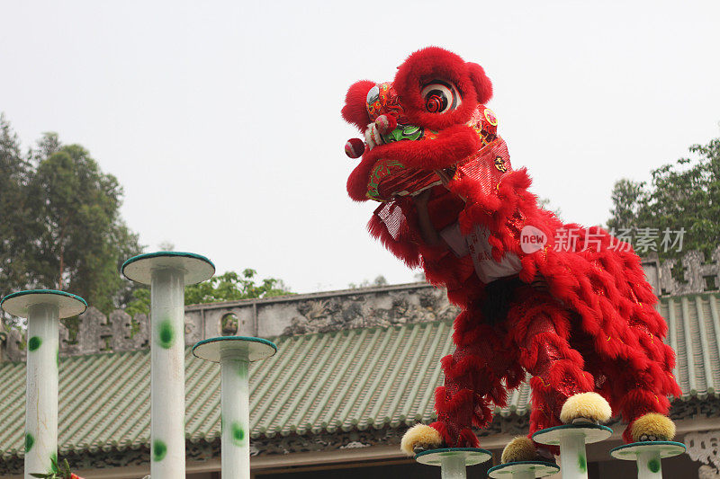 红色中国传统舞狮表演庆祝节日唐人街