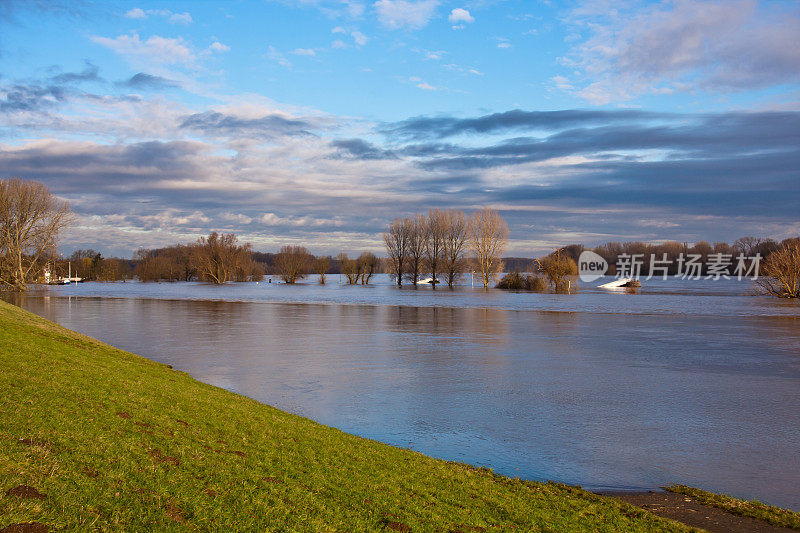 莱茵河遭受严重水患影响