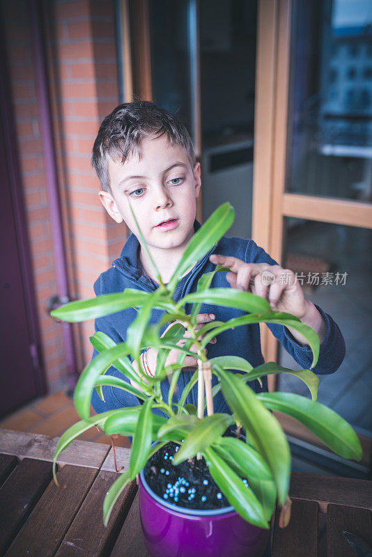 孩子照顾植物