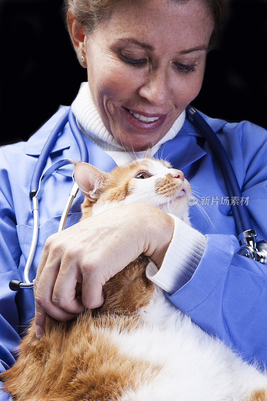 兽医和家猫