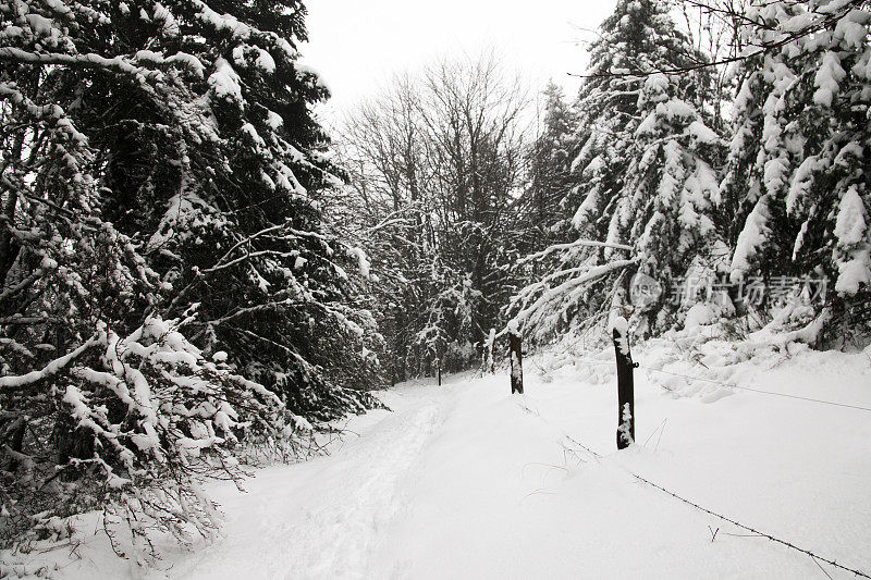 雪下