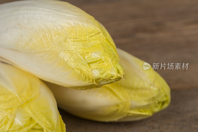 比利时菊苣或菊苣——新鲜健康的食物