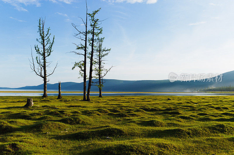 Khovsgol湖边的风景