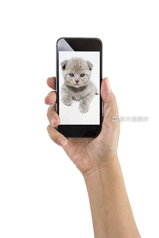 可爱小猫智能手机