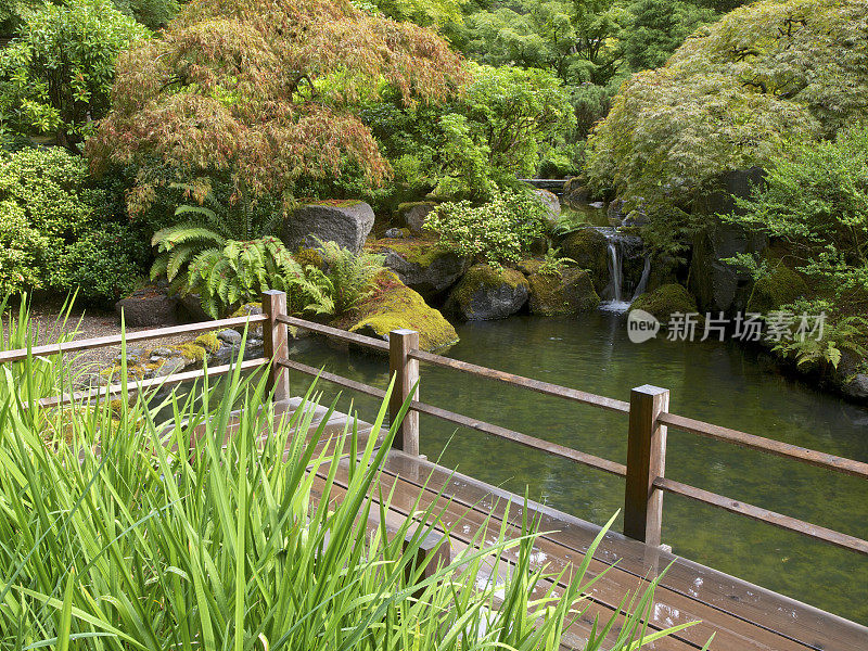 小瀑布池塘木材步道树波特兰日本花园