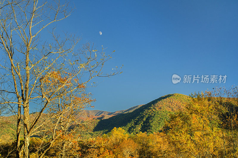 大烟山的卡德斯湾