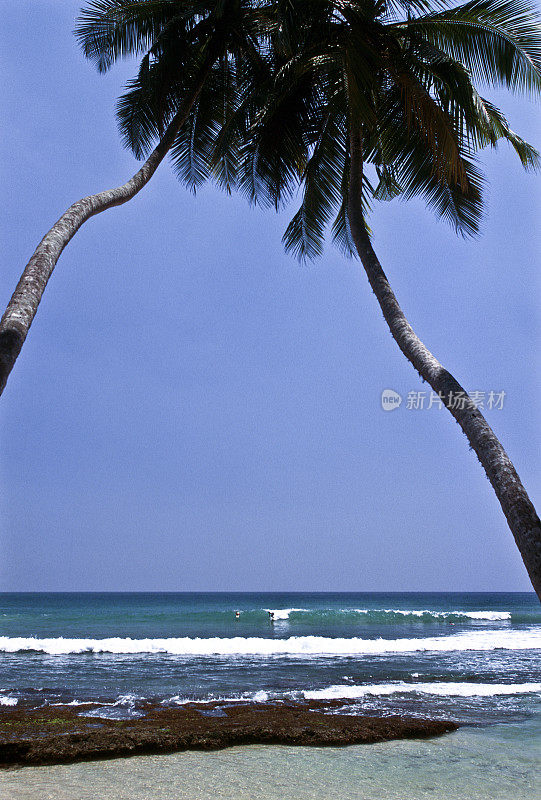 斯里兰卡，威利加马海滩。
