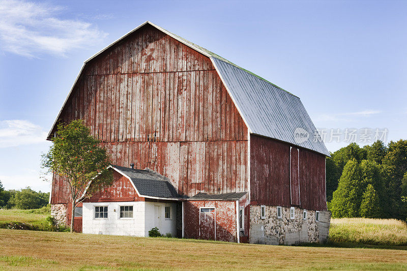红色谷仓农场的房子在农业农场的农村威斯康辛州