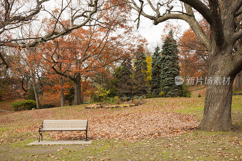 长凳高公园秋季