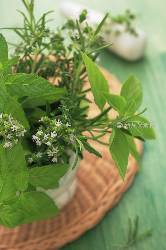 草本植物。