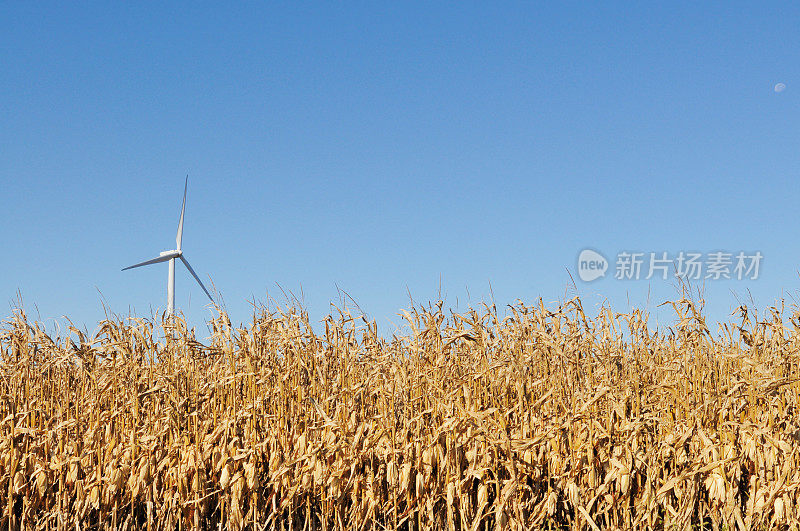 绿色能源印第安纳风力涡轮机农场和玉米田