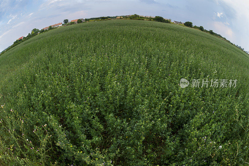 保护我们的地球，走绿色之路