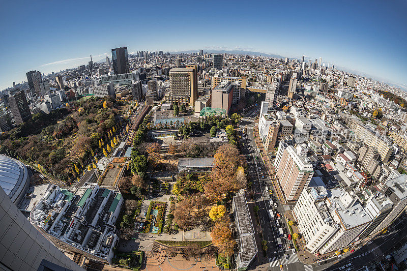 东京的鱼眼风景