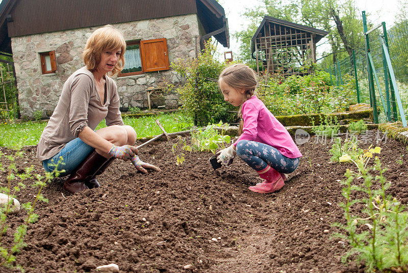 小女孩帮妈妈在山上的花园里种黄瓜