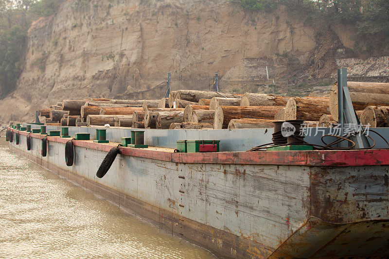伊洛瓦底江上装载柚木的驳船