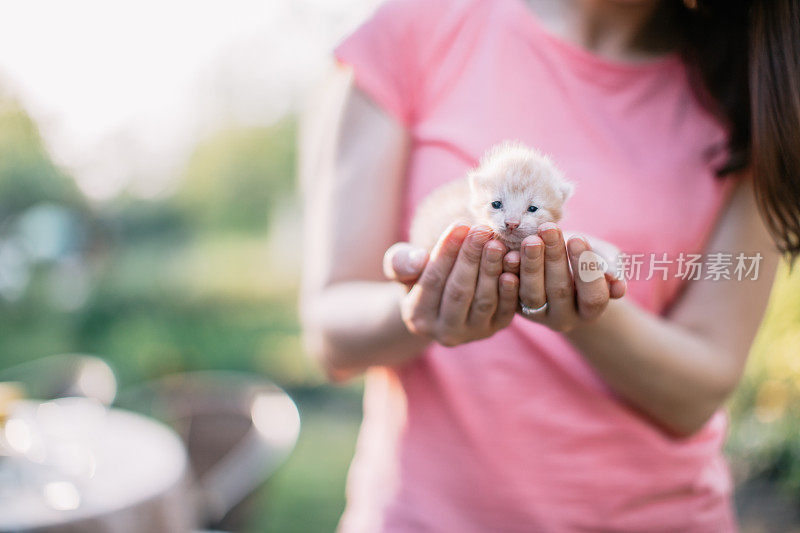 年轻美丽的女人抱着刚出生的小猫