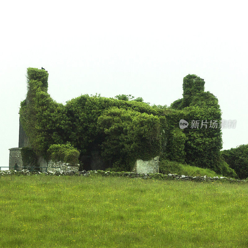 爱尔兰乡村的诺曼塔房屋遗址
