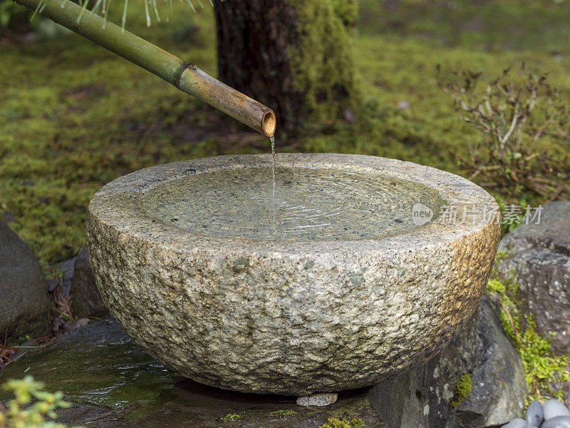 水景石碗竹波特兰日本花园俄勒冈