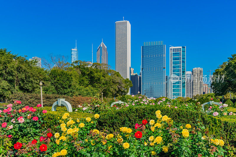 芝加哥，伊利诺伊州，格兰特公园的一个带有天际线的观赏花园