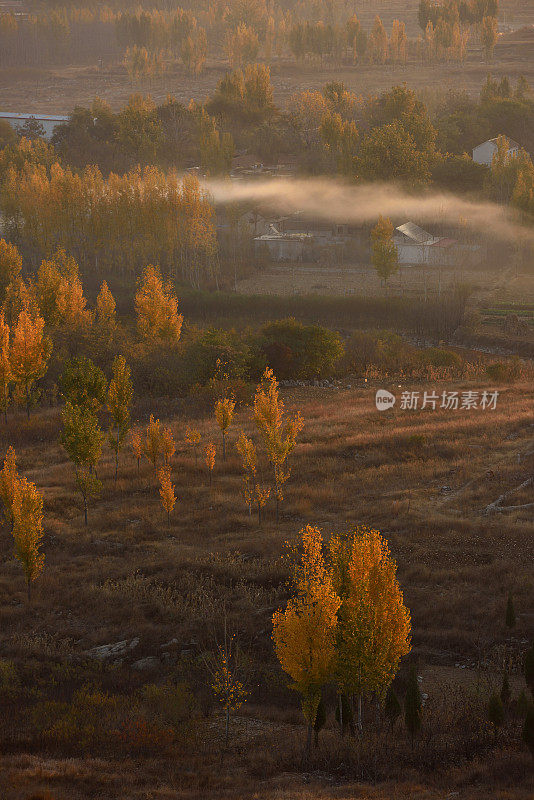 中国农村的秋景