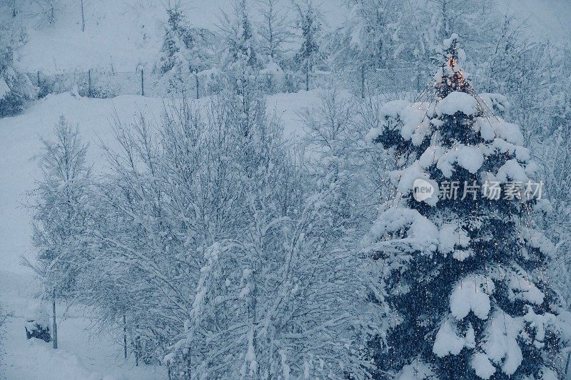 白雪覆盖的冬季景观和照亮的圣诞树