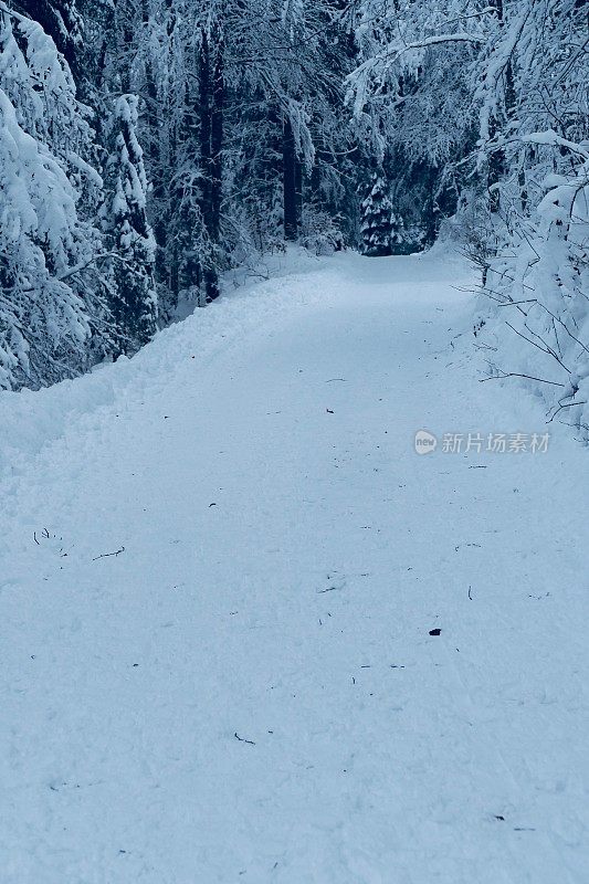 在欧洲阿尔卑斯山脉，冰雪覆盖的冬季景观和森林