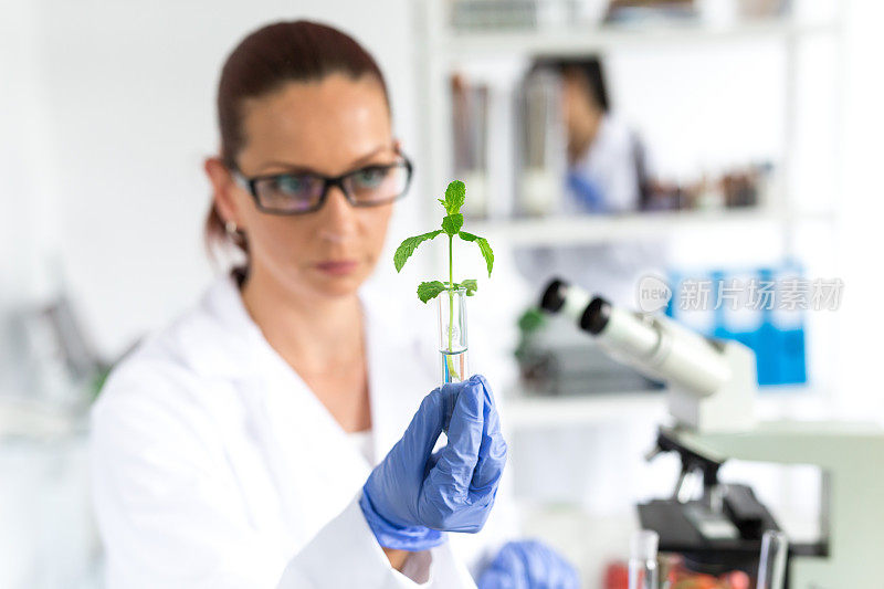 女性生物学家在实验室测试生长