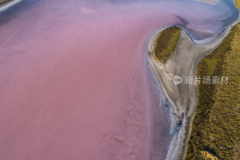 鸟瞰图的抽象形状的粉红色的湖，附近的湖艾伯特