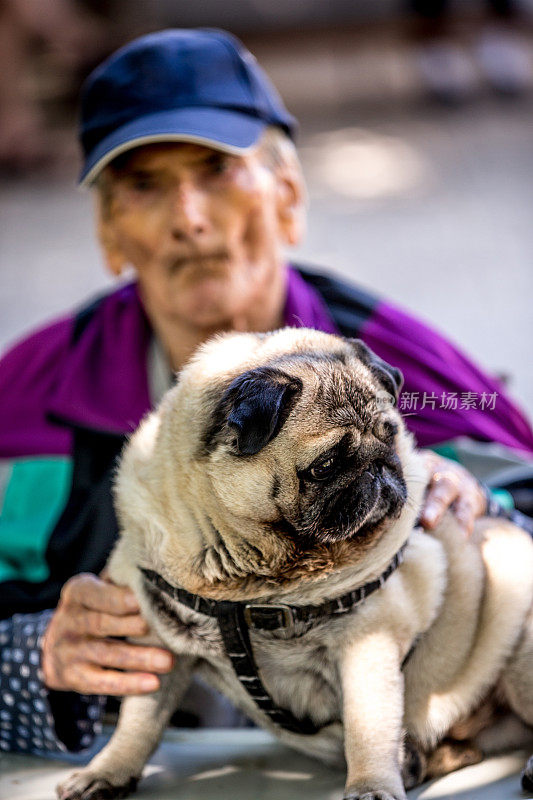 沉思的老人和他的狗