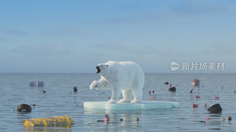 北极熊的全球变暖概念