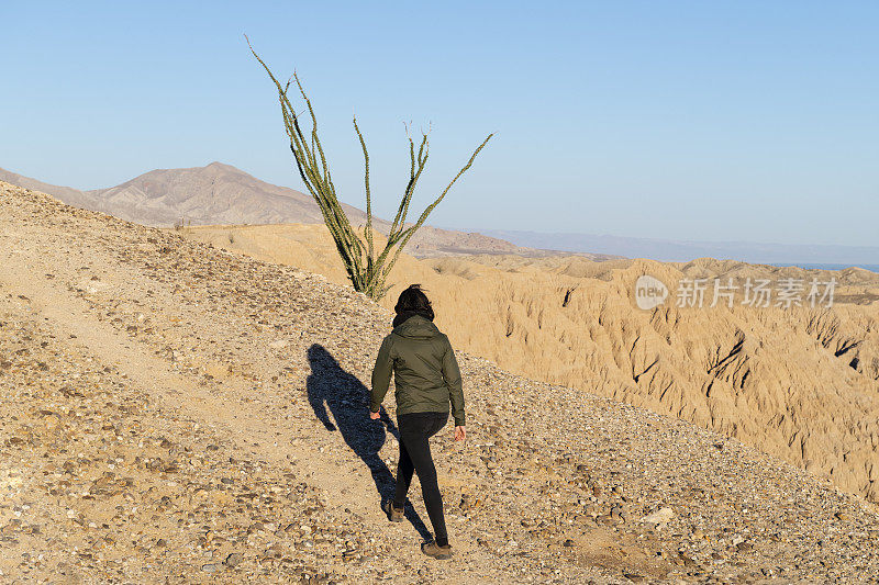 在加州徒步旅行的年轻女子