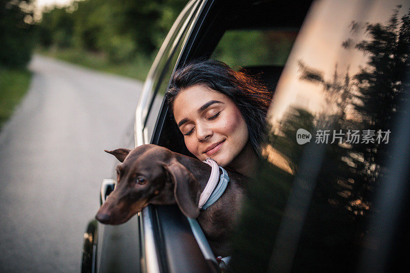 漂亮女人和她的狗开着车