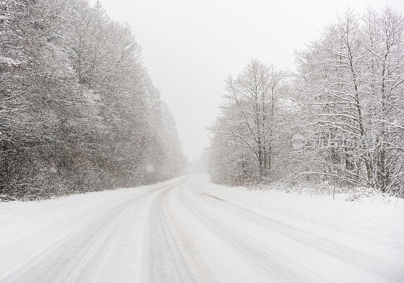 森林道路上的暴风雪状况