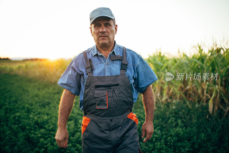 老年活跃的农民在田里散步