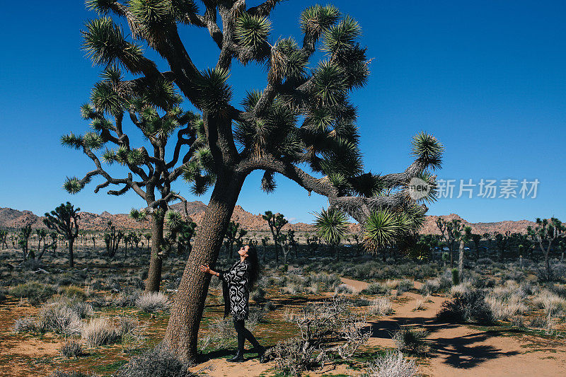 一个人在加利福尼亚州乔舒亚树莫哈韦沙漠旅行