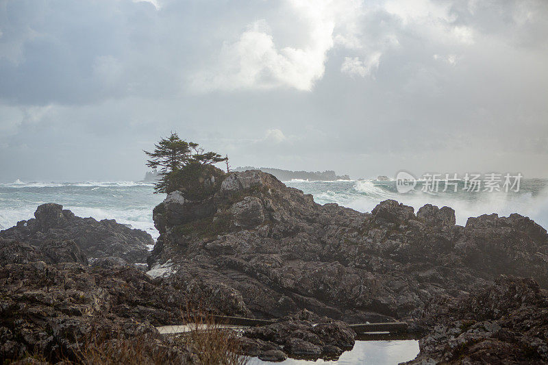 来自加拿大托菲诺的海浪撞击着岩石