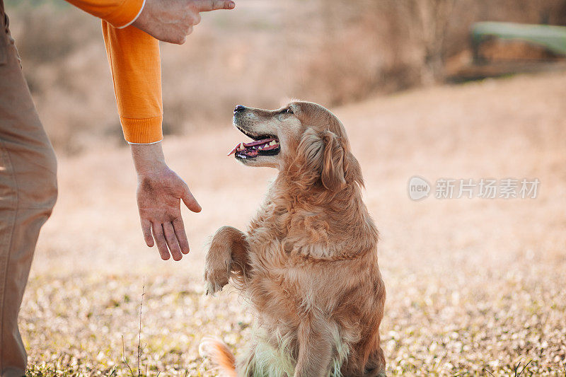 日落时分，一个男人和他的狗