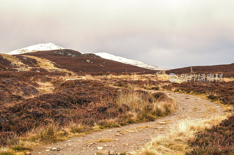 在苏格兰高地凯恩戈姆国家公园的秋天风景中，攀登山顶的小路