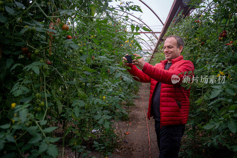 一个中年人在温室里散步