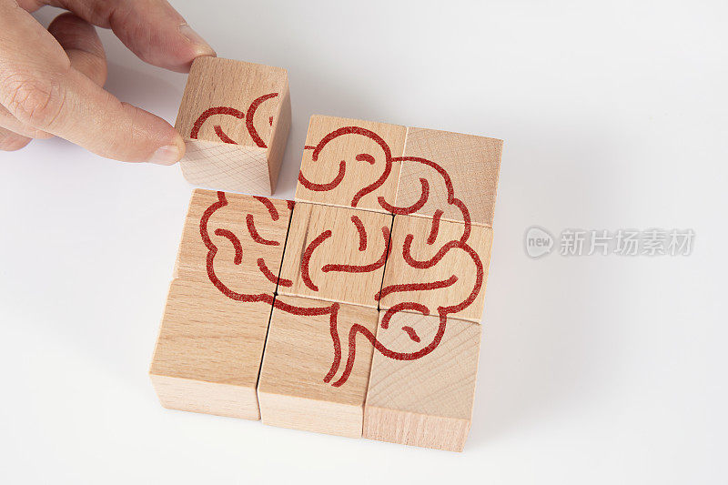 在木块立方体上绘制大脑